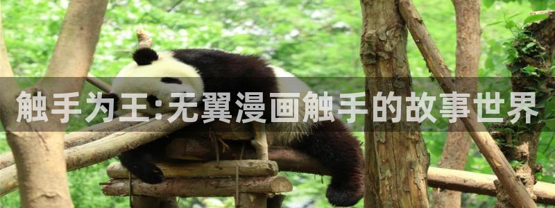 如出一辙的女儿免费下拉式奇漫屋：触手为王:无翼漫画触手的故事世界